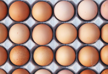 different types of eggs